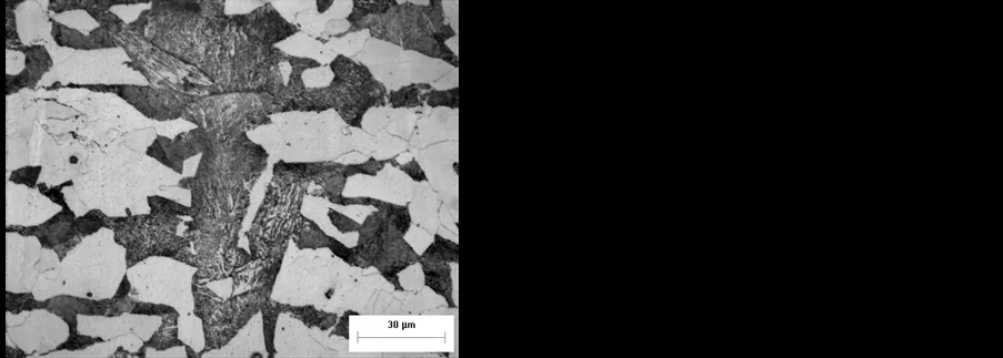 Microstructure of API 5L X52 base metal from an ammonia pipeline SCC investigation