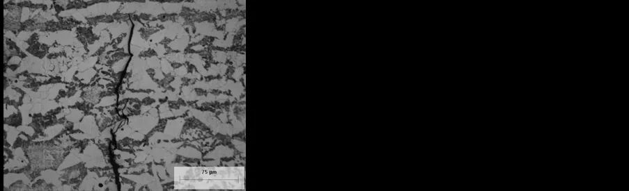 Microscopy fractography detail of transgranular SCC